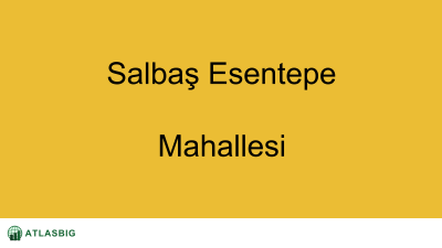Salbaş Esentepe Mahallesi Haritası Thumbnail