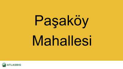 Paşaköy Mahallesi Haritası Thumbnail