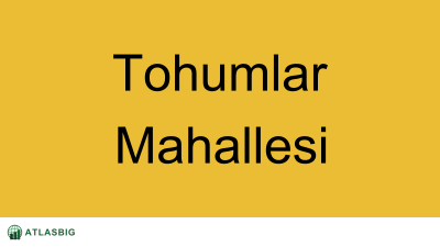 Tohumlar Mahallesi Haritası Thumbnail