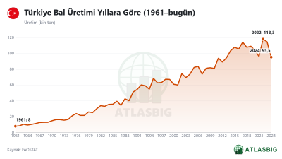 Türkiye Bal Üretimi Yıllara Göre (1961–bugün)