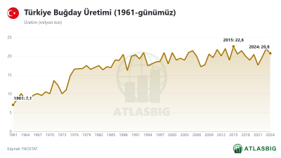 Türkiye Buğday Üretimi (1961-günümüz)