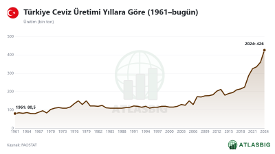 Türkiye Ceviz Üretimi Yıllara Göre (1961–bugün) Thumbnail