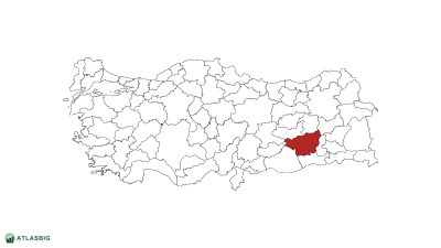 Türkiye haritasında Diyarbakır Thumbnail