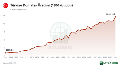 Türkiye Domates Üretimi (1961–bugün) Thumbnail