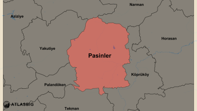 Pasinler ve Komşu İlçeler Haritası Thumbnail