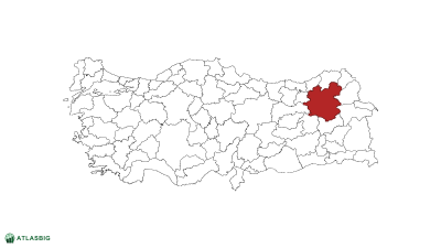 Türkiye haritasında Erzurum Thumbnail