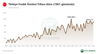 Türkiye Fındık Üretimi Yıllara Göre (1961-günümüz) Thumbnail