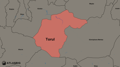 Torul ve Komşu İlçeler Haritası Thumbnail