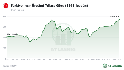 Türkiye İncir Üretimi Yıllara Göre (1961–bugün)