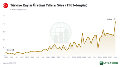 Türkiye Kayısı Üretimi Yıllara Göre (1961–bugün) Thumbnail
