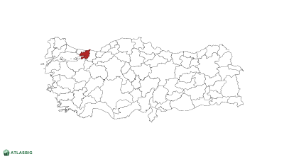 Türkiye haritasında Kocaeli Thumbnail