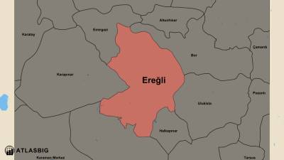Ereğli ve Komşu İlçeler Haritası Thumbnail