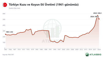 Türkiye Kuzu ve Koyun Eti Üretimi (1961-günümüz)