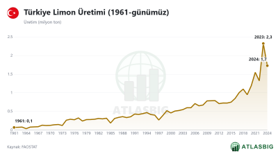 Türkiye Limon Üretimi (1961-günümüz)