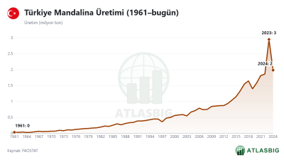 Türkiye Mandalina Üretimi (1961–bugün)