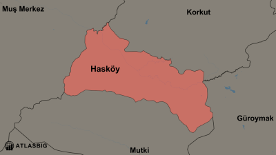 Hasköy ve Komşu İlçeler Haritası Thumbnail