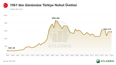 1961'den Günümüze Türkiye Nohut Üretimi
