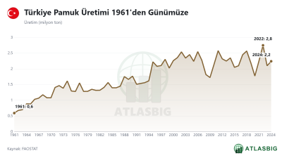 Türkiye Pamuk Üretimi 1961'den Günümüze