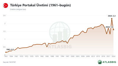 Türkiye Portakal Üretimi (1961–bugün)