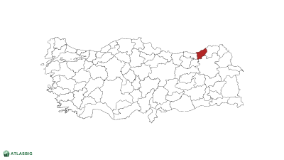 Türkiye haritasında Rize Thumbnail