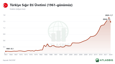 Türkiye Sığır Eti Üretimi (1961–günümüz)