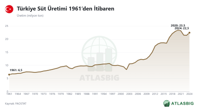 Türkiye Süt Üretimi 1961’den İtibaren