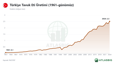Türkiye Tavuk Eti Üretimi (1961–günümüz)