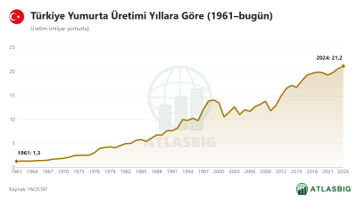 Türkiye Yumurta Üretimi Yıllara Göre (1961–bugün)