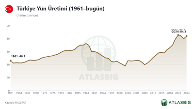 Türkiye Yün Üretimi (1961–bugün)