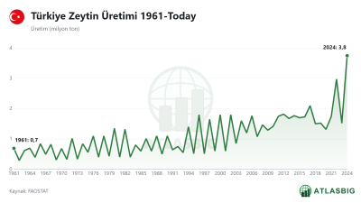 Türkiye Zeytin Üretimi 1961-Today Thumbnail