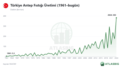 Türkiye Antep Fıstığı Üretimi (1961–bugün) Thumbnail