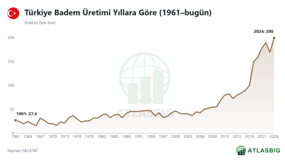 Türkiye Badem Üretimi Yıllara Göre (1961–bugün)