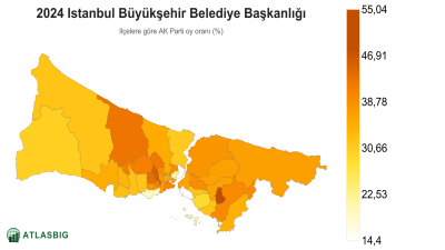 Istanbul 2024 Istanbul Büyükşehir Belediye Başkanlığı: ilçelere göre AK Parti oy oranı haritası Thumbnail