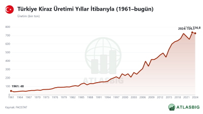 Türkiye Kiraz Üretimi Yıllar İtibarıyla (1961–bugün) Thumbnail