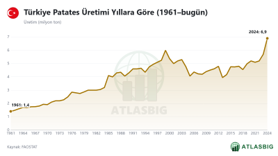 Türkiye Patates Üretimi Yıllara Göre (1961–bugün)