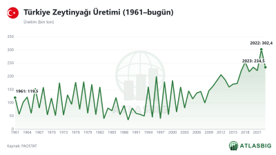 Türkiye Zeytinyağı Üretimi (1961–bugün) Thumbnail
