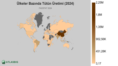 Ülkeler Bazında Tütün Üretimi (2024) Thumbnail