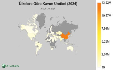 Ülkelere Göre Kavun Üretimi (2024) Thumbnail