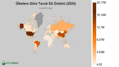 Ülkelere Göre Tavuk Eti Üretimi 2026 Thumbnail