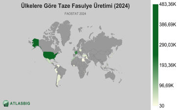 Ülkelere Göre Taze Fasulye Üretimi (2024) Thumbnail