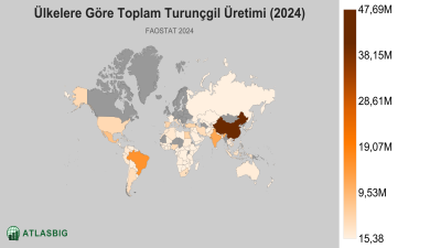 Ülkelere Göre Toplam Turunçgil Üretimi (2024) Thumbnail