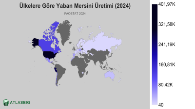 Ülkelere Göre Yaban Mersini Üretimi 2026 Thumbnail