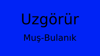 Uzgörür, Bulanık, Muş Thumbnail