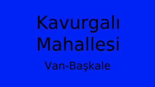 Kavurgalı Mahallesi Thumbnail