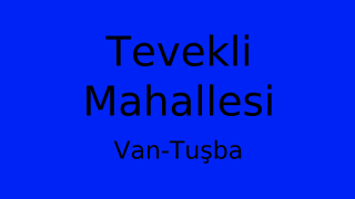 Tevekli Mahallesi Thumbnail