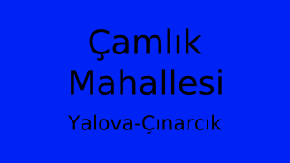 Çamlık Mahallesi Thumbnail