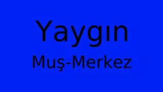 Yaygın, Merkez, Muş Thumbnail