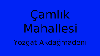 Çamlık Mahallesi Thumbnail
