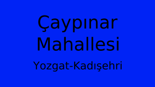 Çaypınar Mahallesi Thumbnail