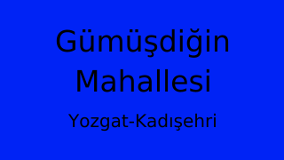 Gümüşdiğin Mahallesi Thumbnail